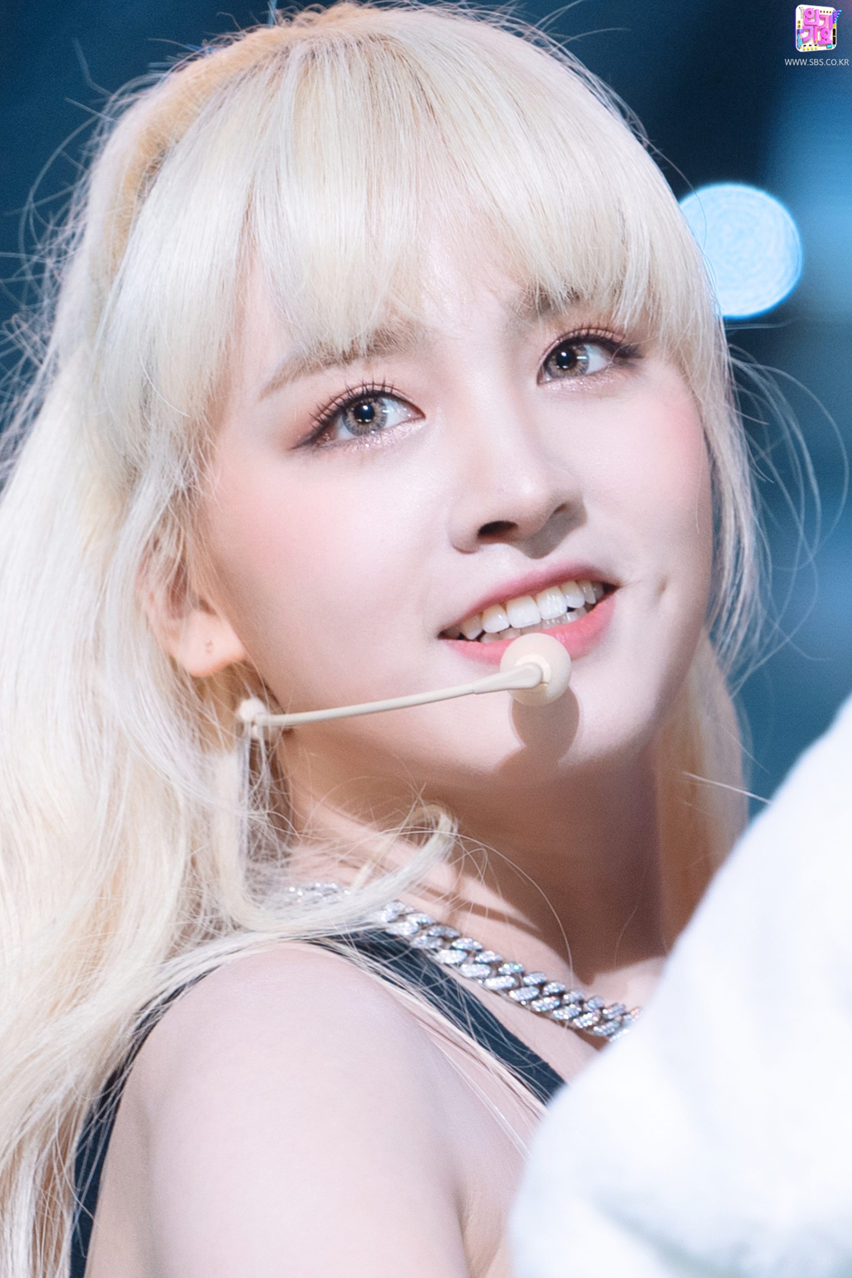 IVE Members Guide: Everything You Need to Know