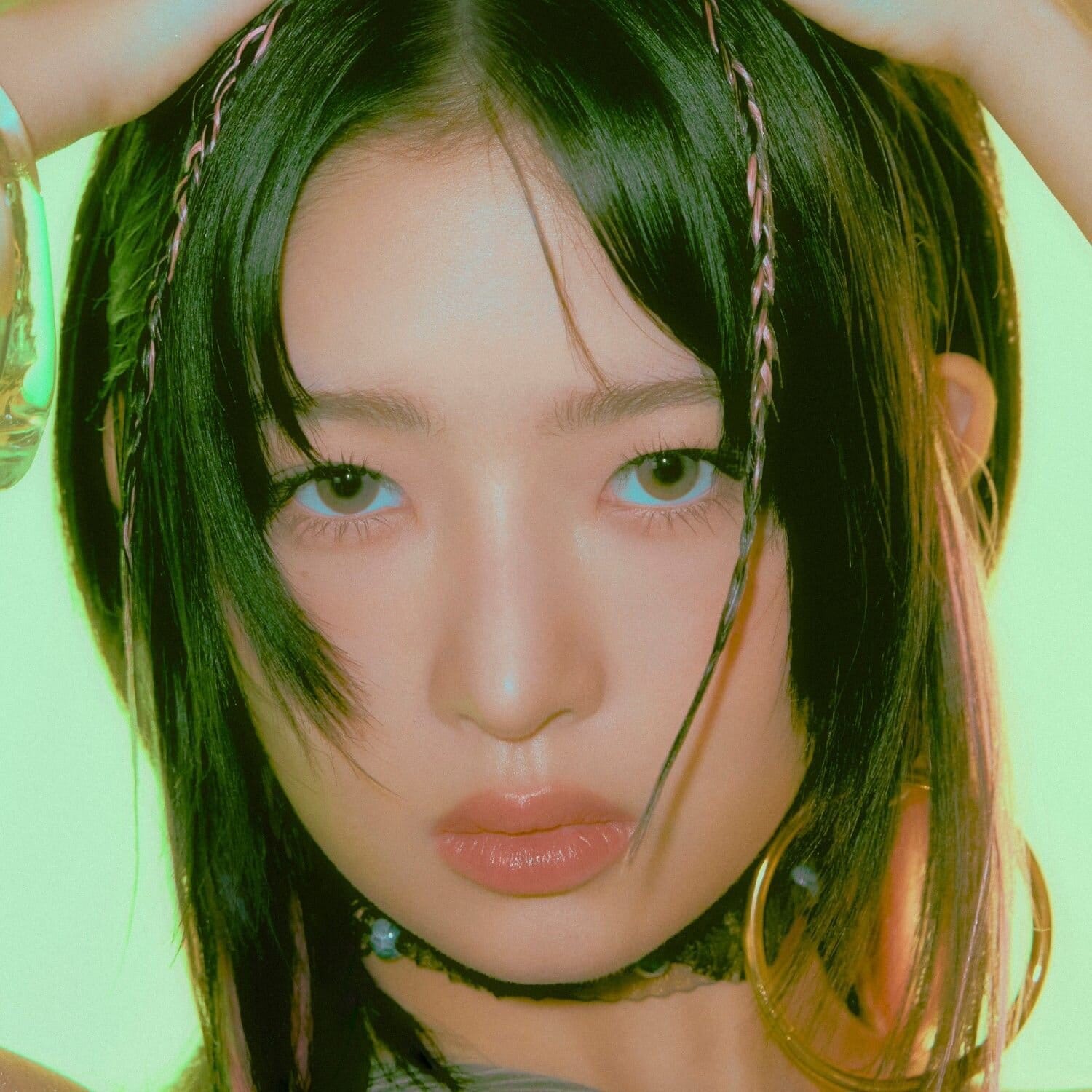 IVE Members Guide: Everything You Need to Know