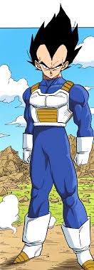What Is Vegeta Height? Find Out Here!