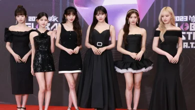 IVE Members Guide: Everything You Need to Know