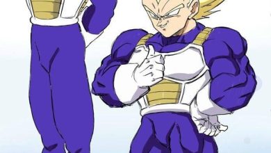 What Is Vegeta Height? Find Out Here!
