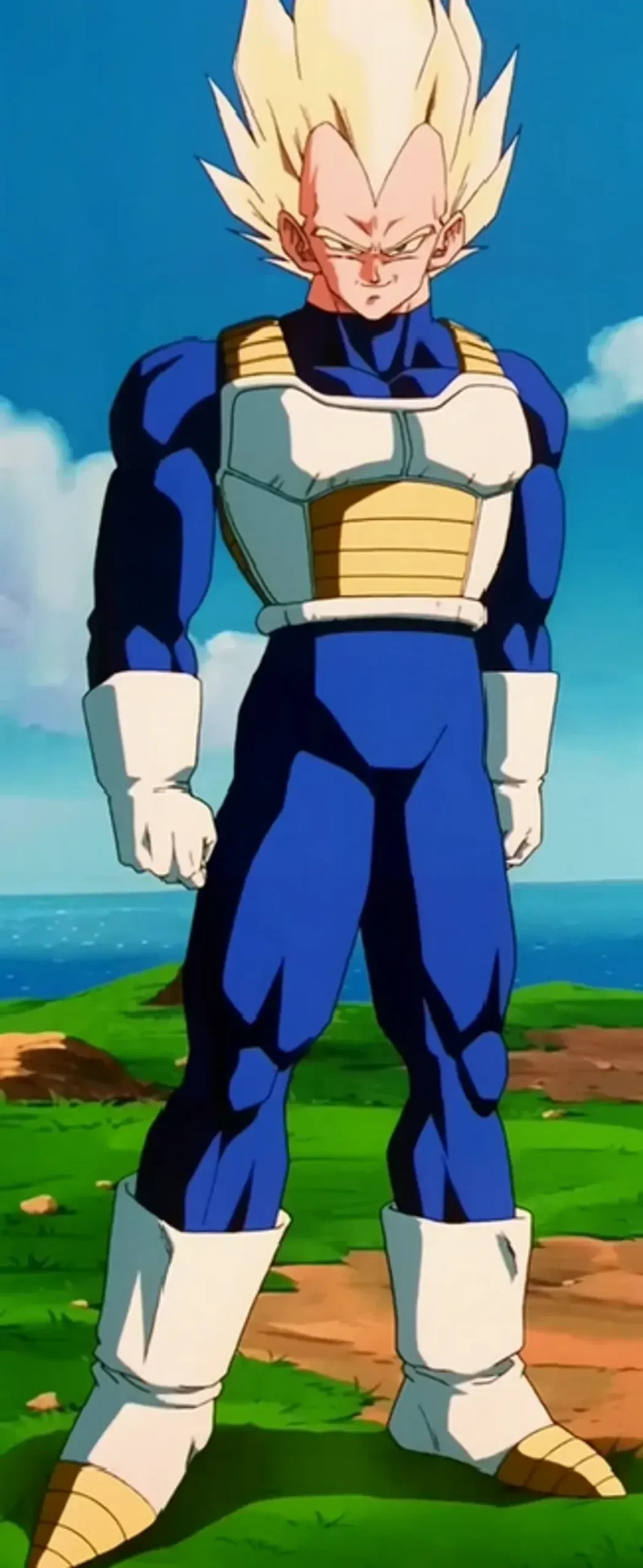 What Is Vegeta Height? Find Out Here!