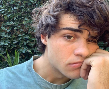 Noah Centineo Relationship History: Who Has He Dated